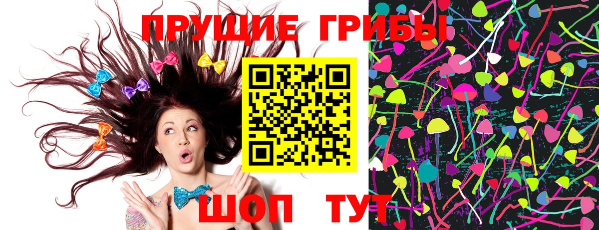 Псилоцибиновые грибы прущие грибы Знаменск